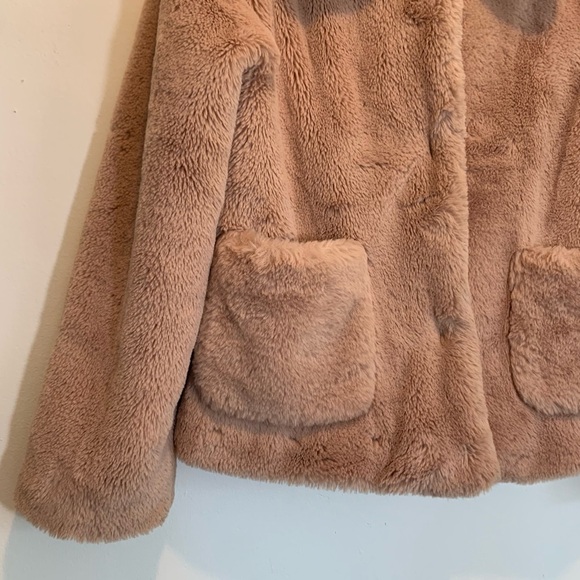 Skye’s The Limit Teddy Faux Fur Blush Jacket - Picture 4 of 7